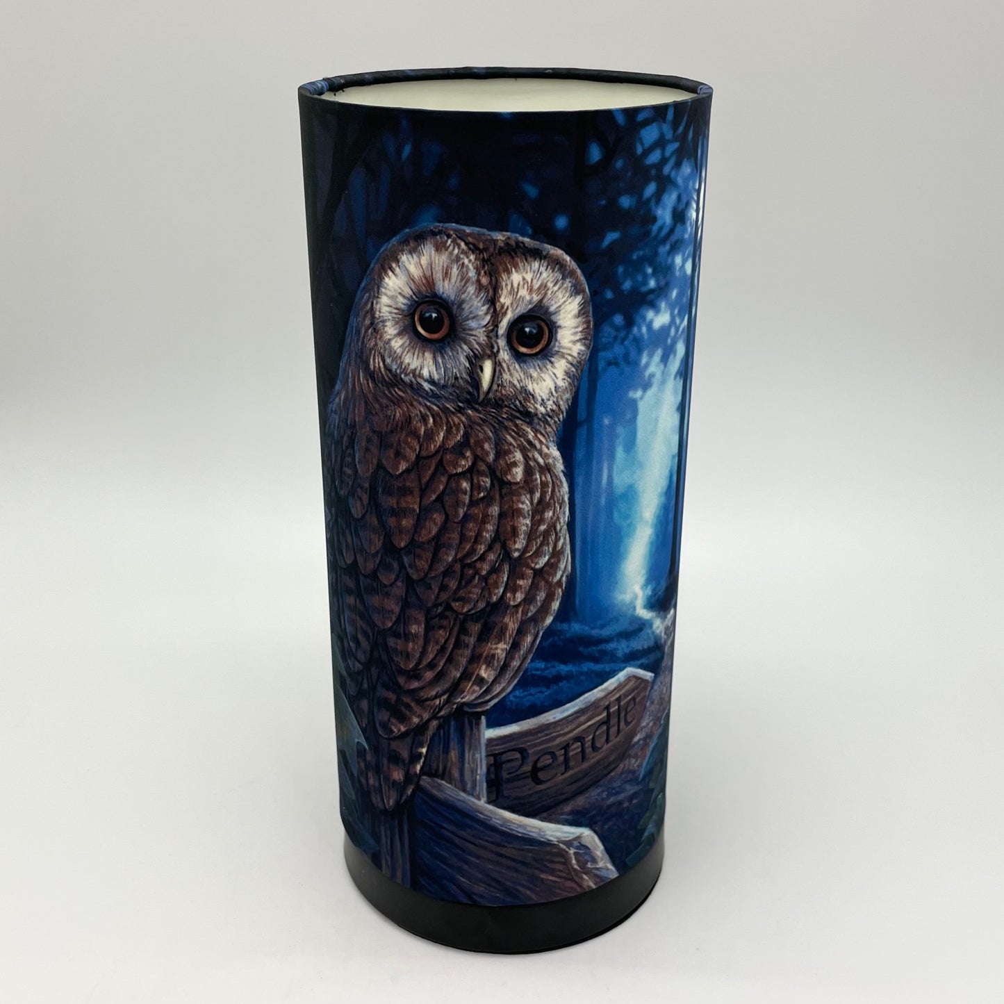 Owl Lamp by Lisa Parker