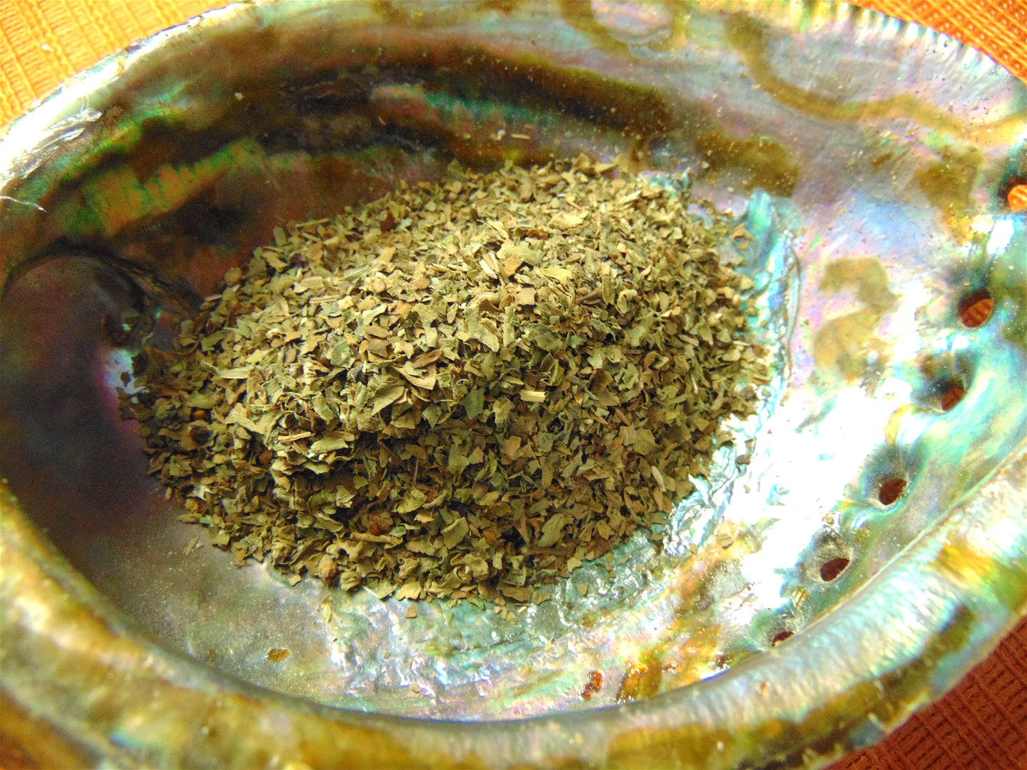 Basil (Egyptian)