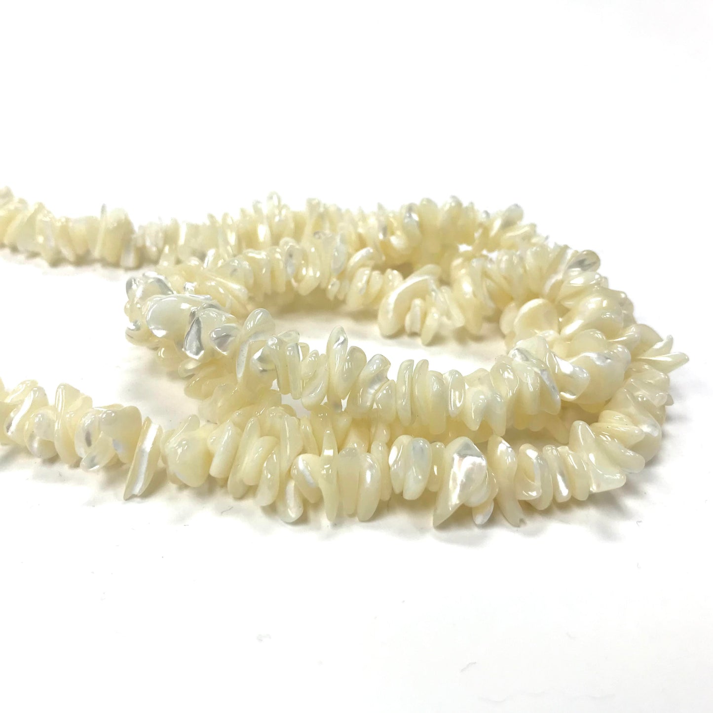 Shell Natural Chip Necklace