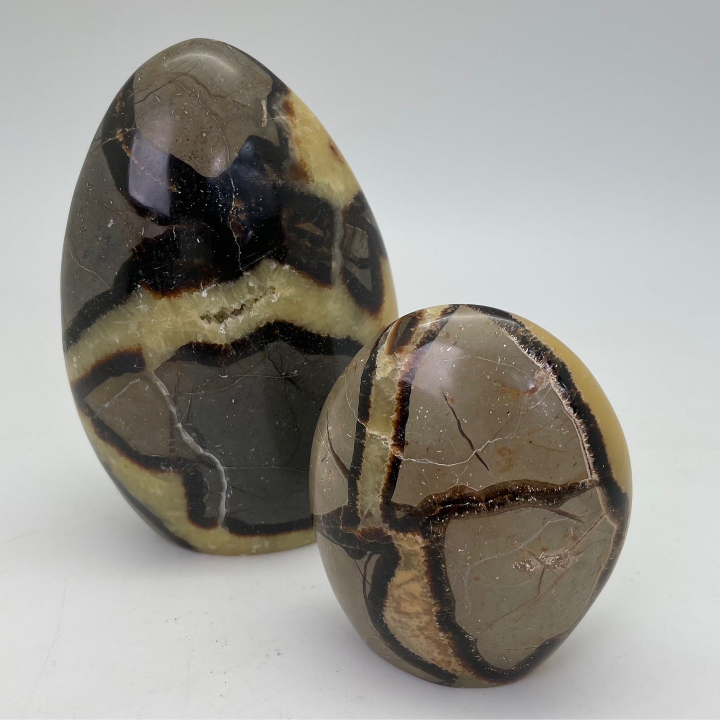 Septarian Polished Free Form