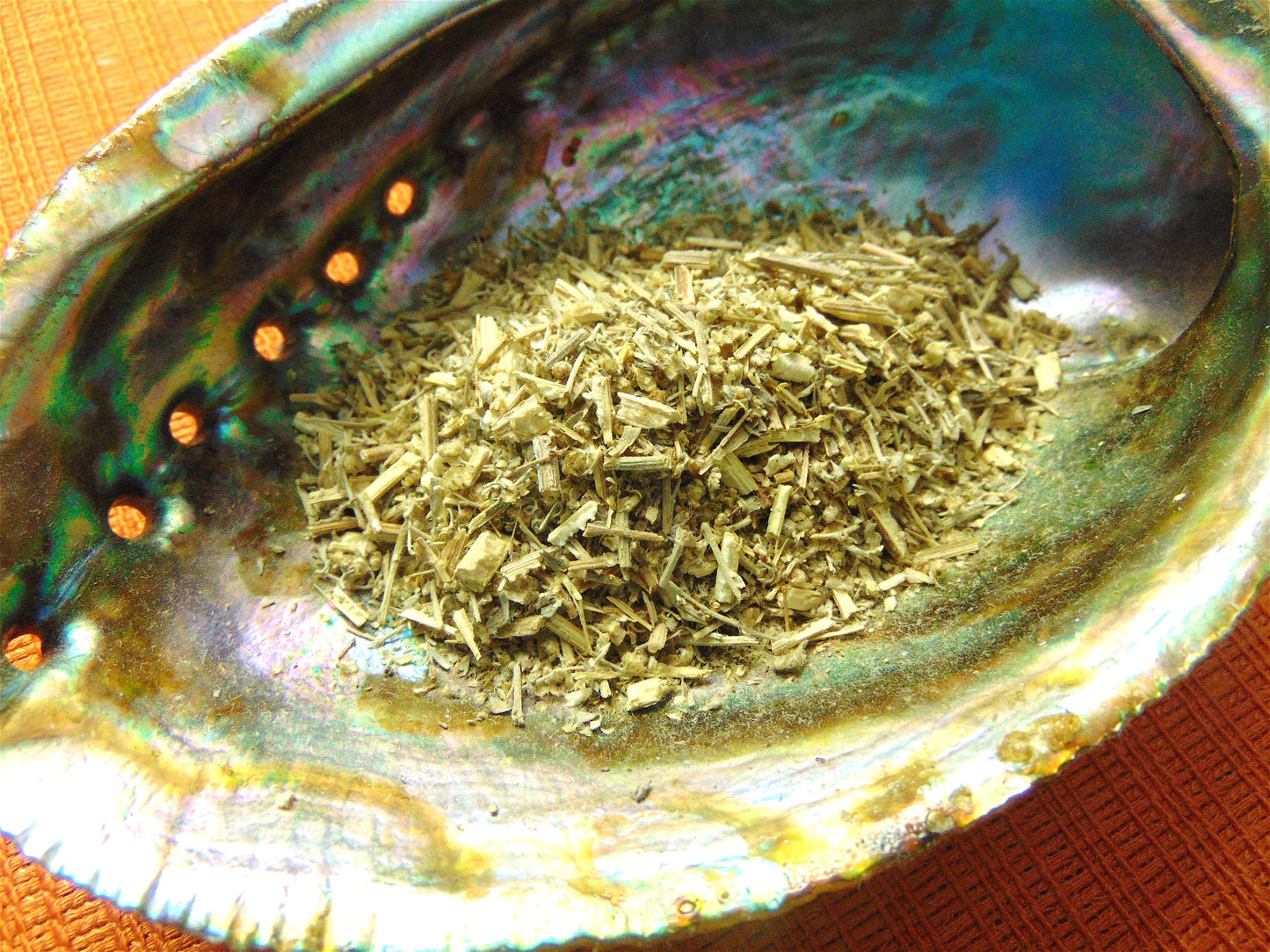 Wormwood Herb