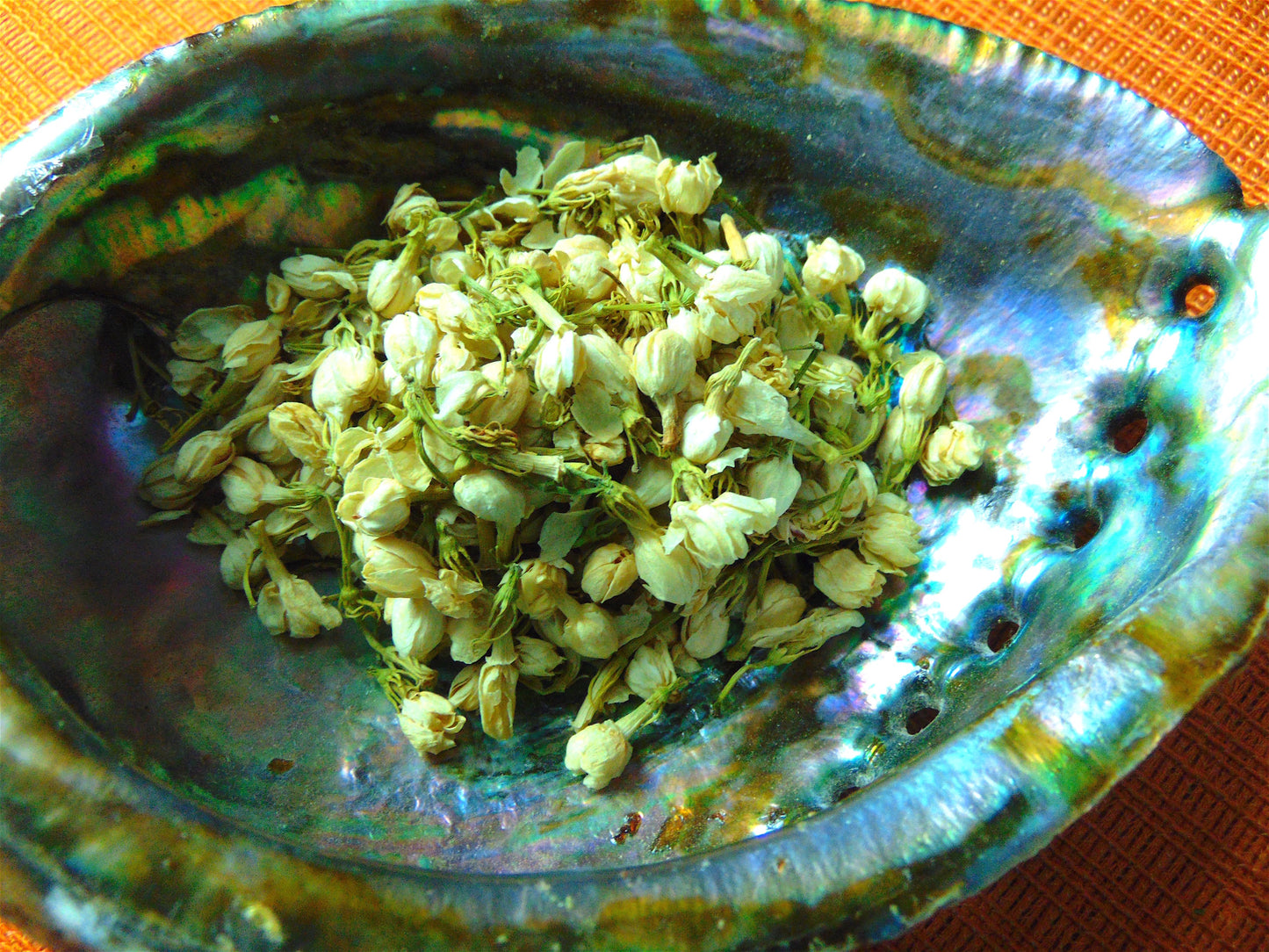 Jasmine Flowers, whole