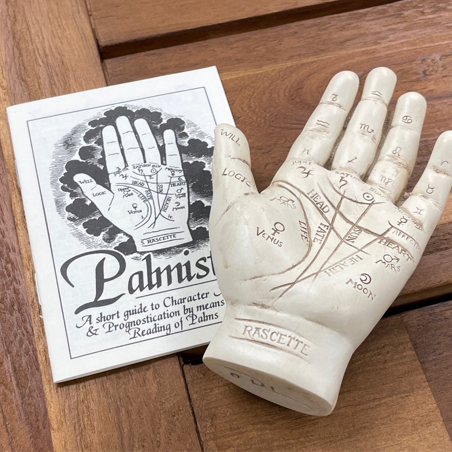 Little Palmistry Study Hand Kit With Booklet