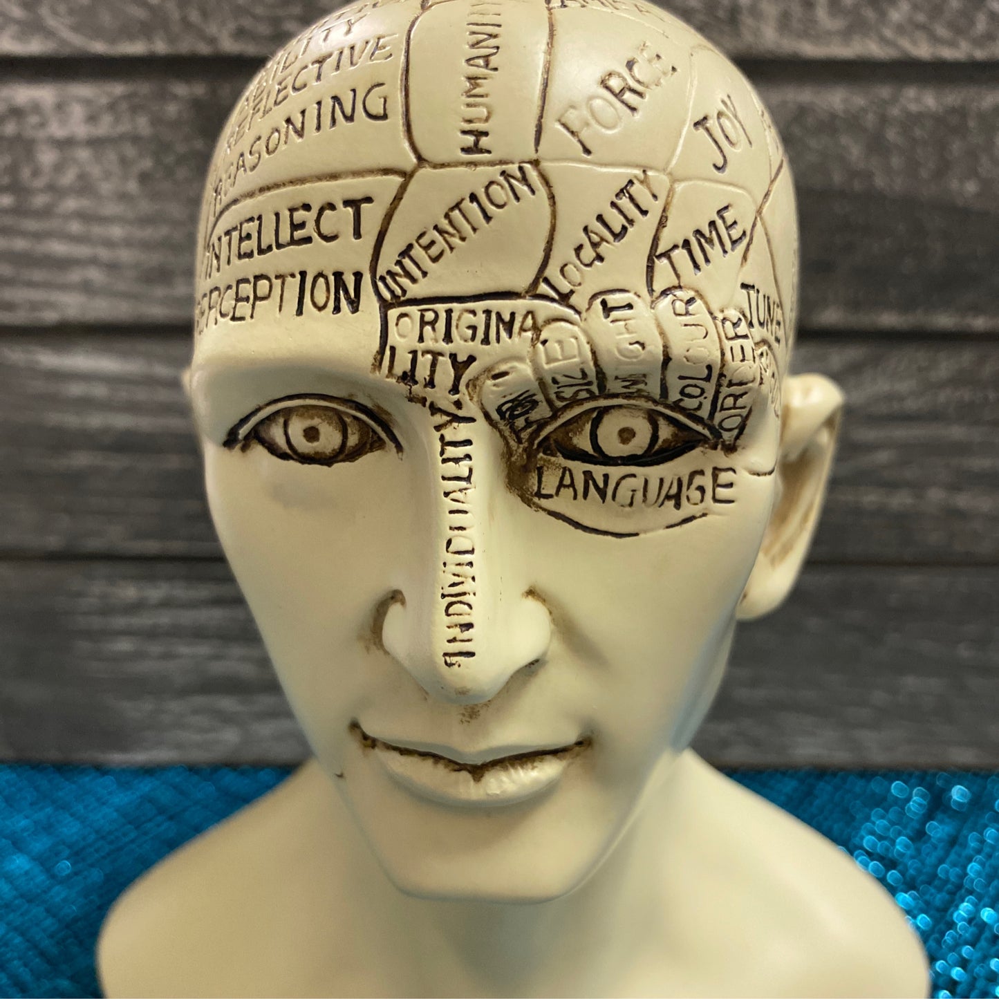 Phrenology Head