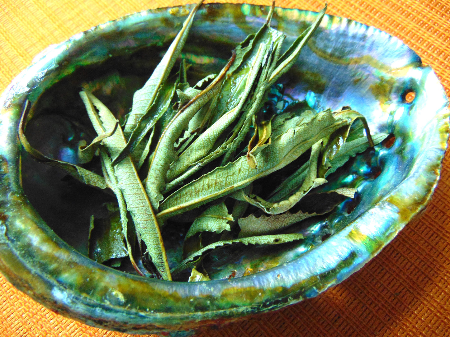 Yerba Santa Leaf