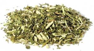 Blue Vervain