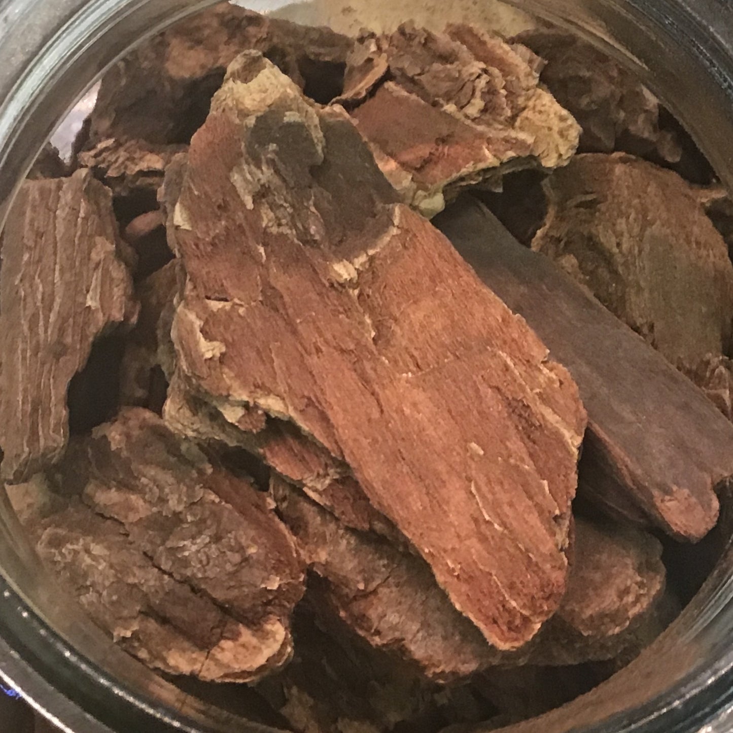 Jezebel Root
