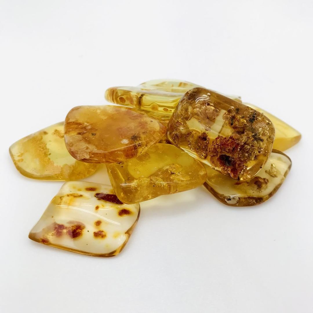 Amber with Insects ***Price Is Per Gram Minimum Order Is 3 grams***