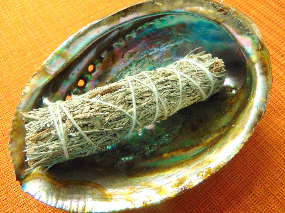Blue Sage Bundle 4” - 5”