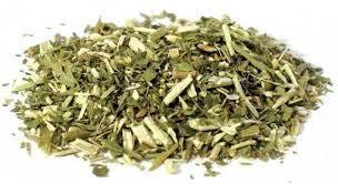 Blue Vervain
