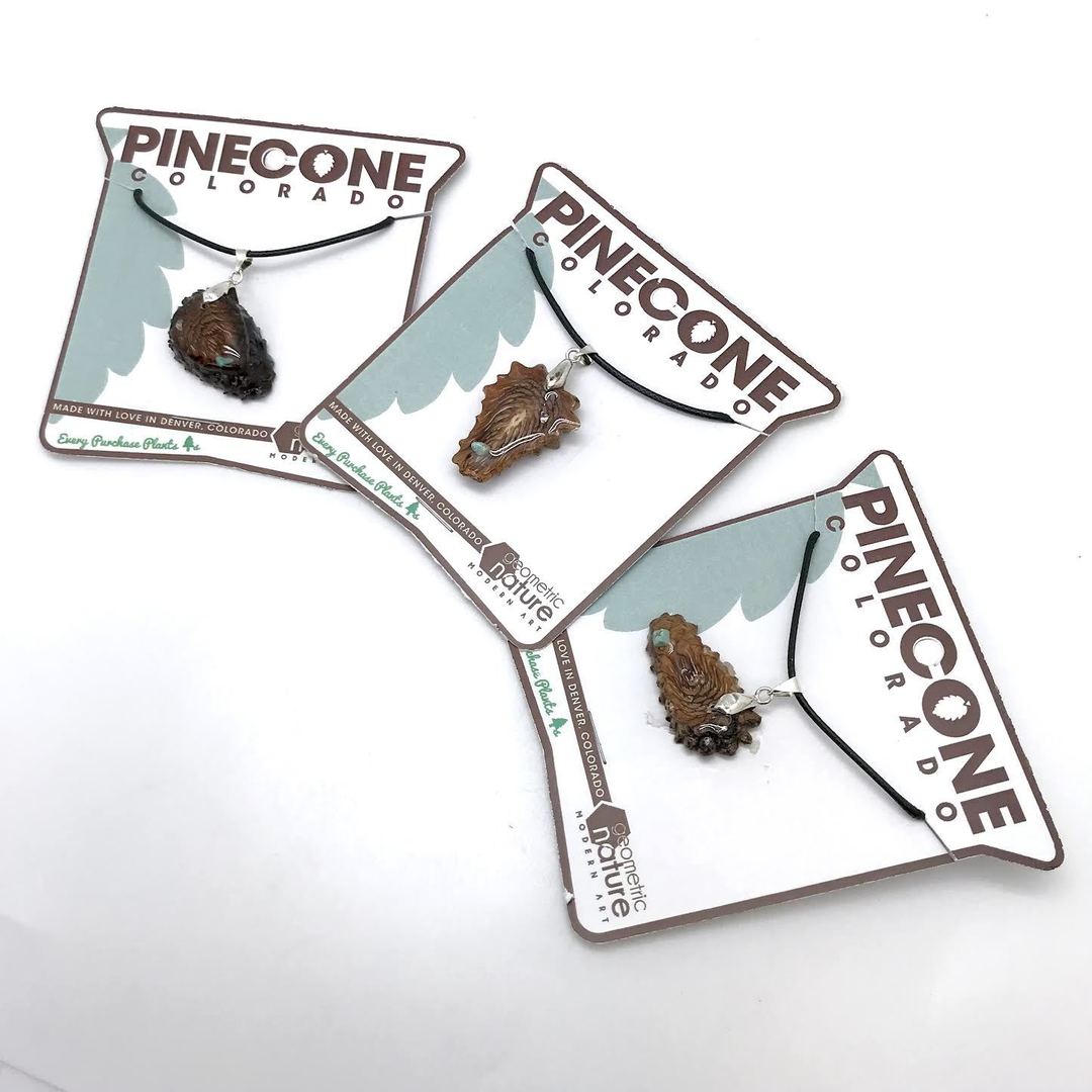 Pine Cone Colorado Pendant Necklace