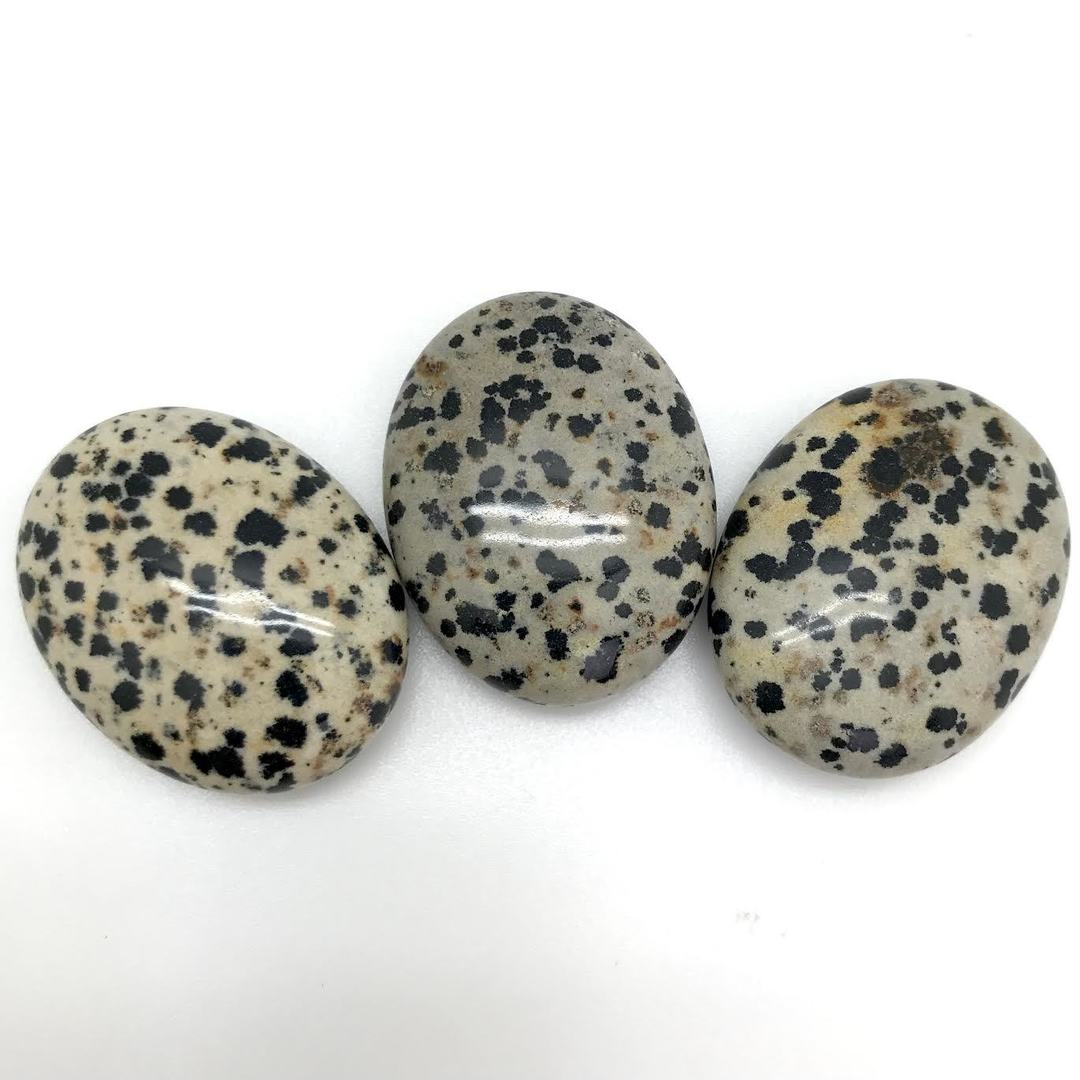 Dalmation Jasper (Gallet Stone)
