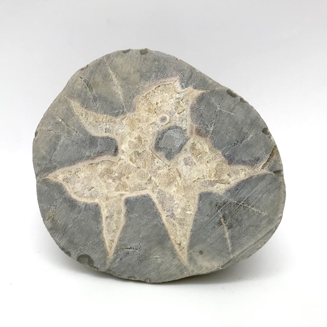 Septarian Raw Free Form