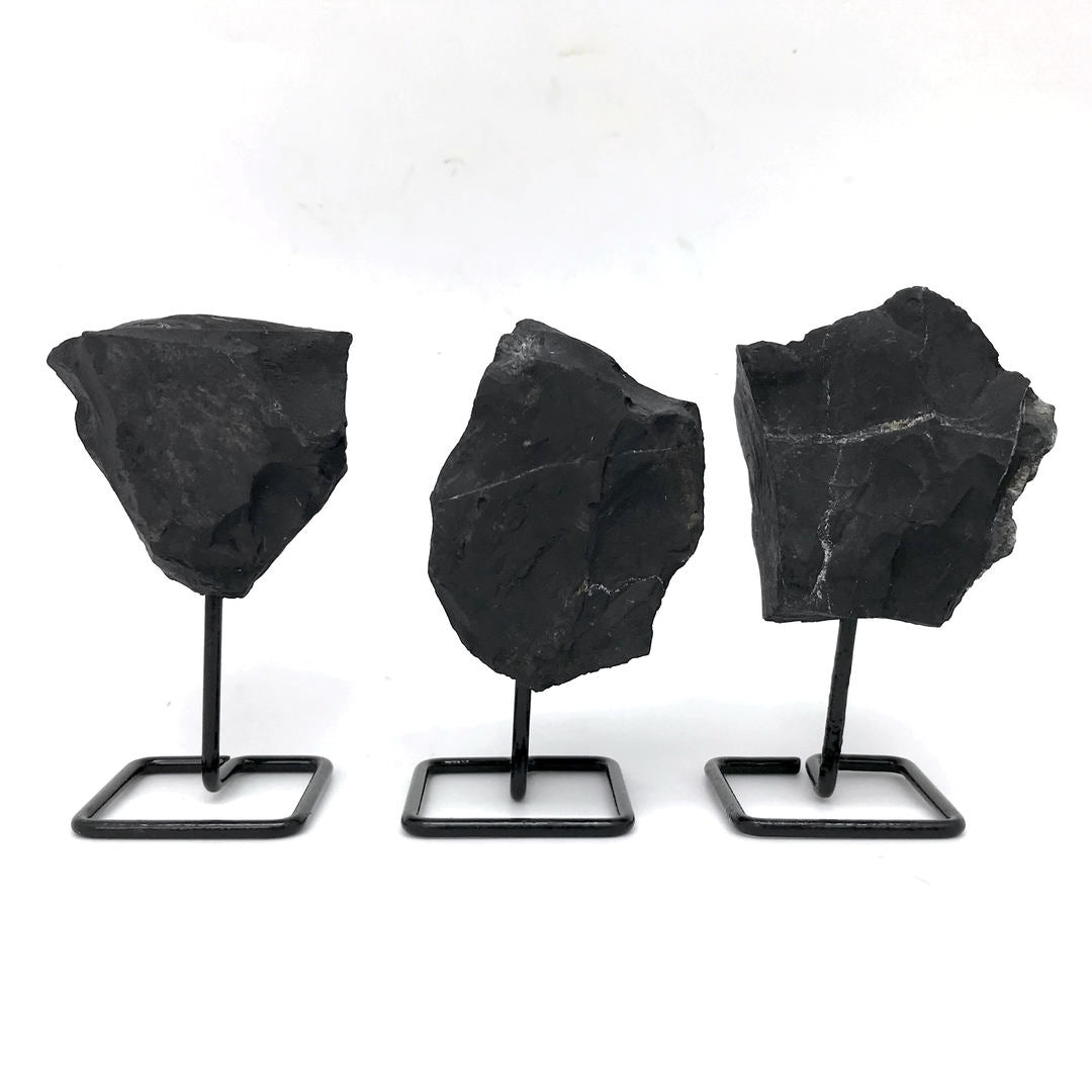Raw Shungite Stone on Stand