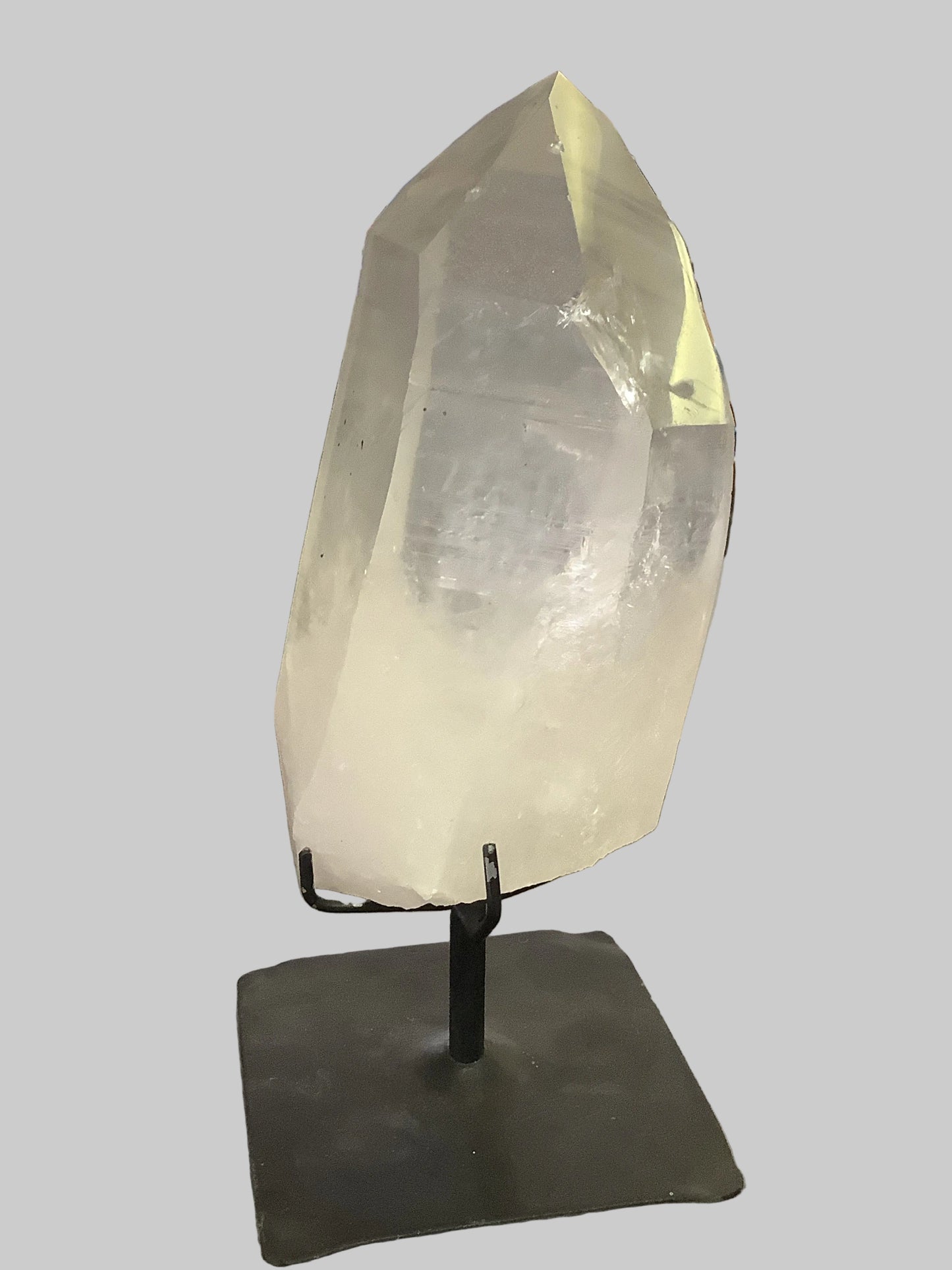 Lemurian with stand