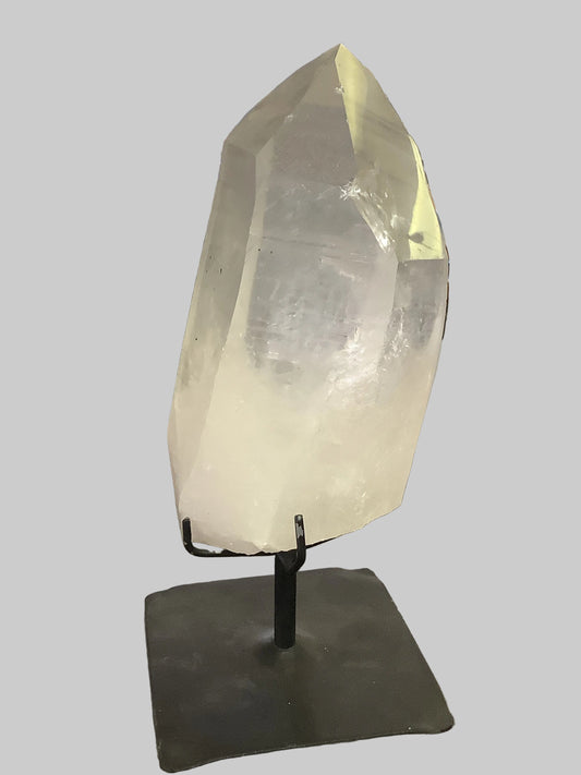 Lemurian with stand