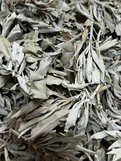 Sacred White Sage Loose Per Ounce
