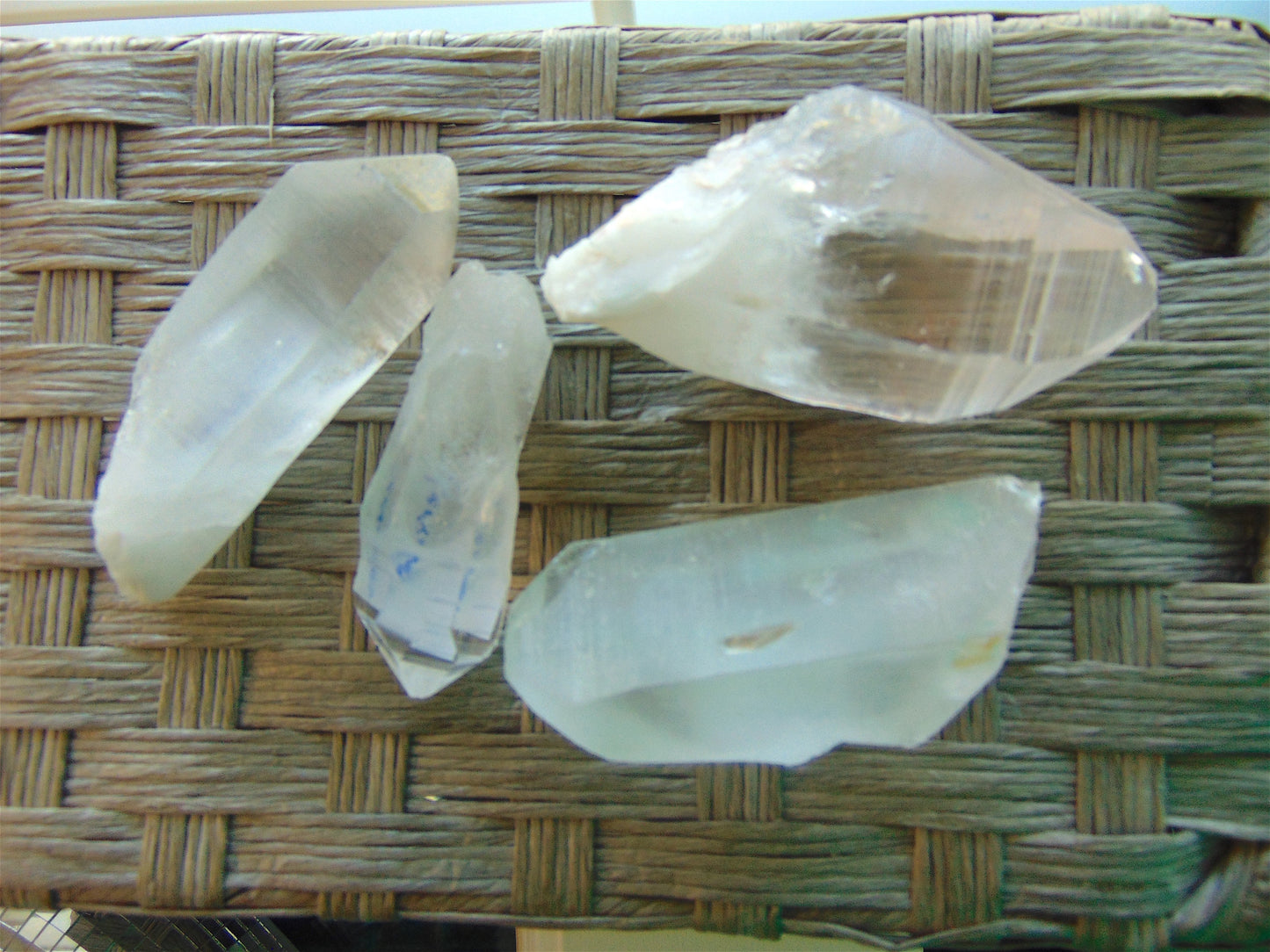 Lemurian