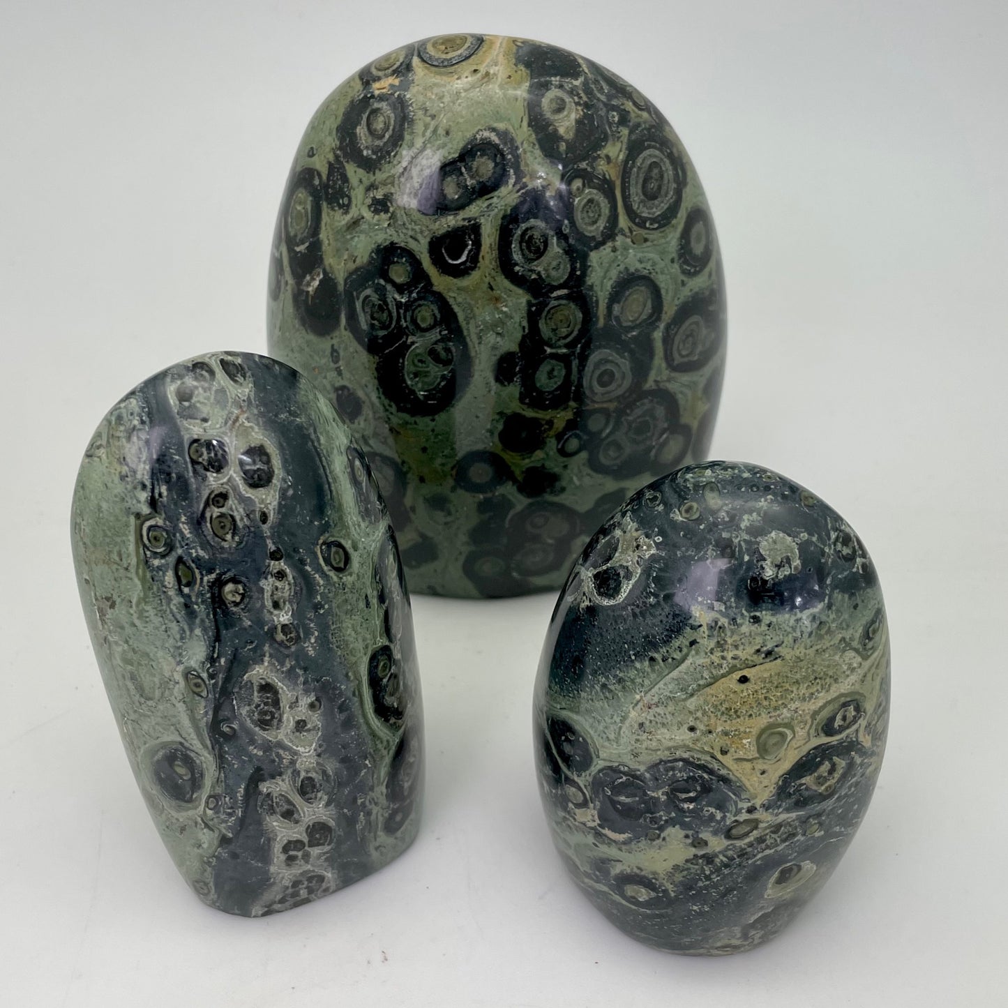 Kambaba (Crocodile) Jasper Free Form