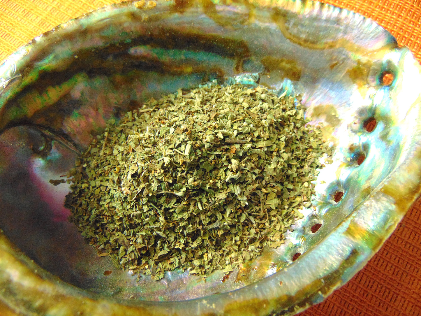 Oregano (Mexican)
