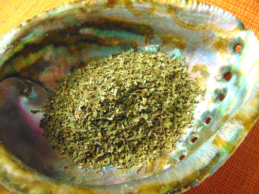 Oregano (Mexican)