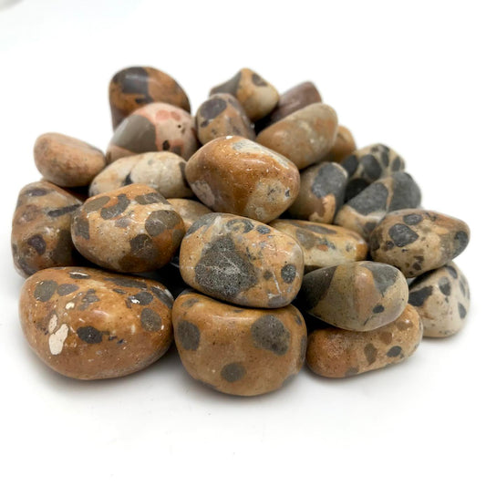 Jasper, Leopard Skin (Tumbled)