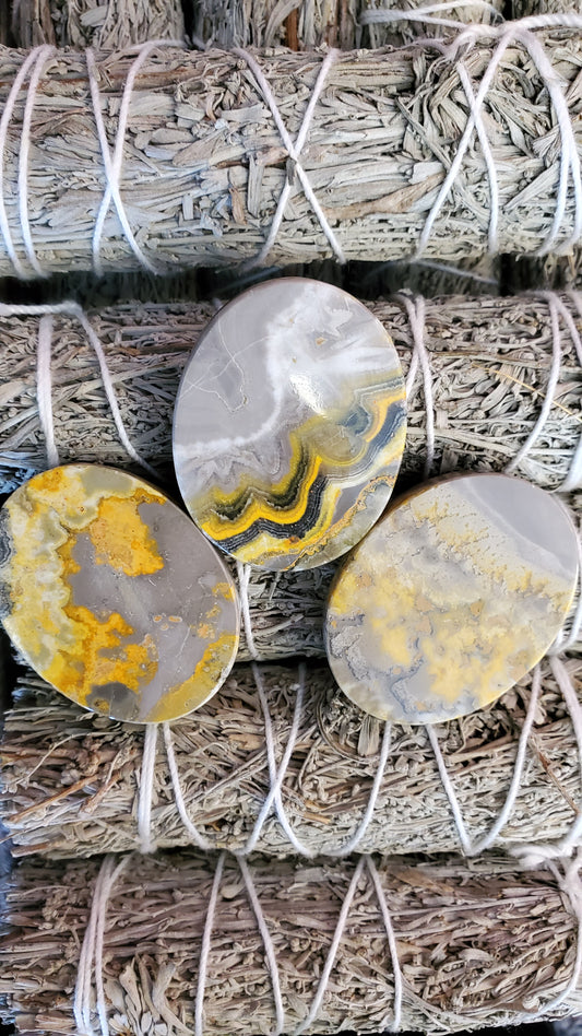 Jasper, Bumble Bee - Large (Flat Worry Stones)