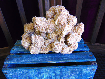 Selenite, Desert Rose (Specimen)