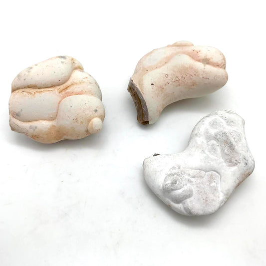 Fairy Stone or Angel Wings