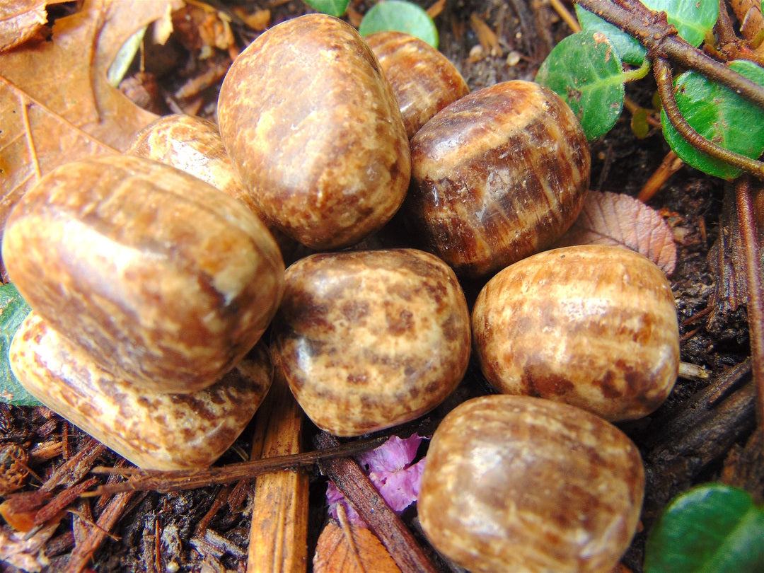 Aragonite, Brown (Tumbled)