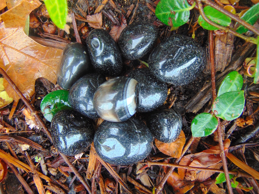 Agate, Black (Tumbled)