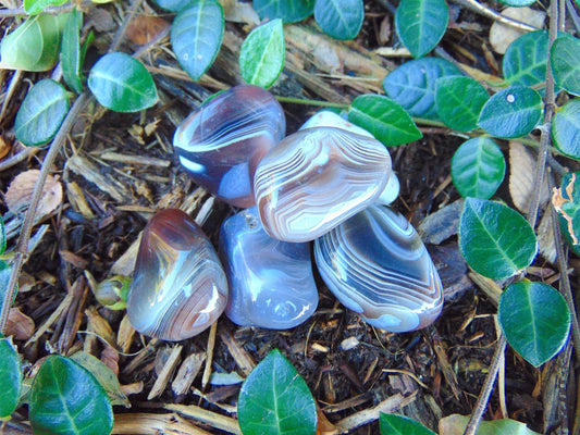 Agate, Botswana Grey (Tumbled)