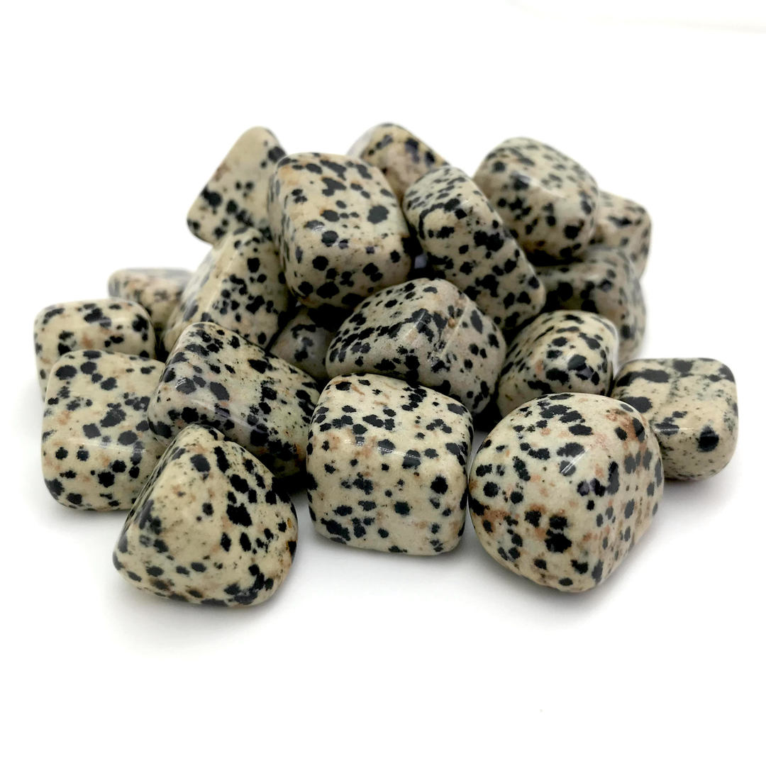 Jasper, Dalmatian (Tumbled)