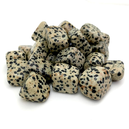 Jasper, Dalmatian (Tumbled)