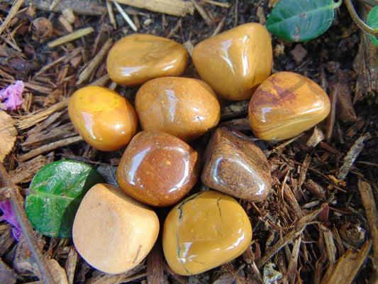 Jasper, Yellow (Tumbled)