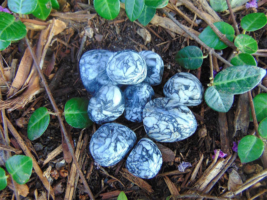 Jasper, Pinolith / Pinolite (Tumbled)