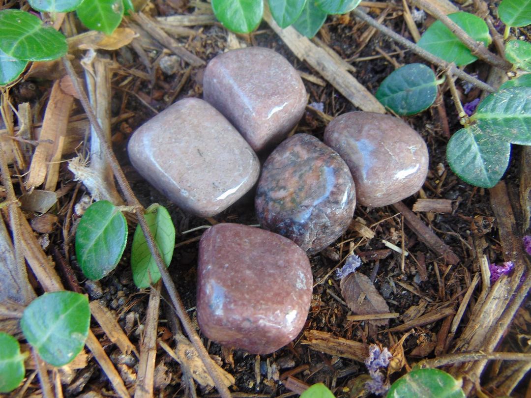 Rhodonite (Tumbled)