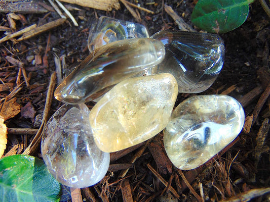 Quartz, Shamanic (Tumbled)