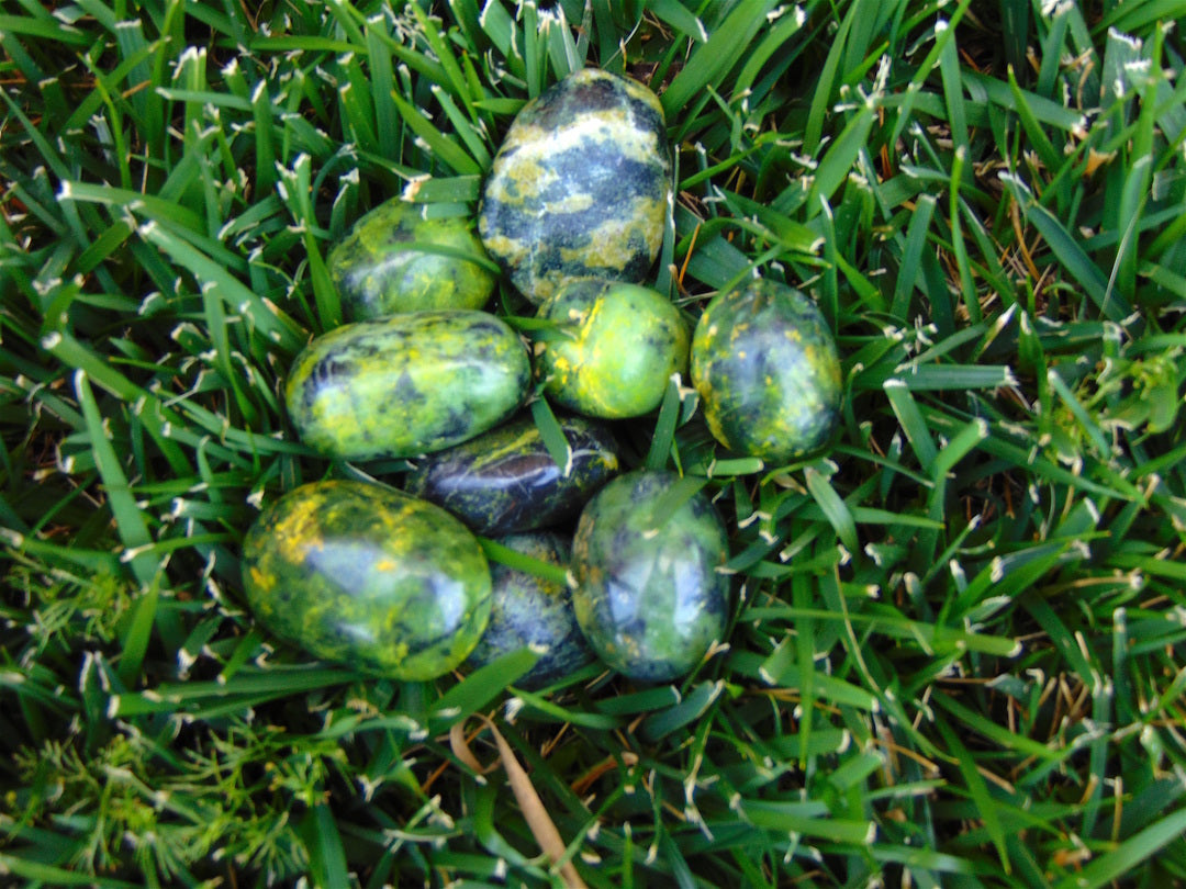 Jasper, Green Leopard Skin (Tumbled)