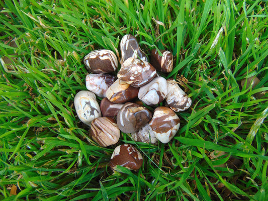 Jasper,  Brown Zebra (Tumbled)