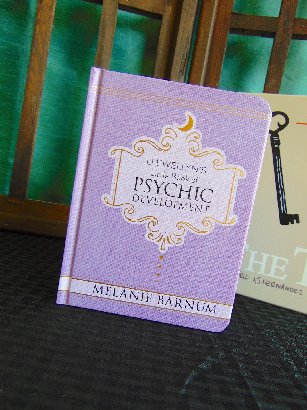 Llewellyn’s Little Book Of Psychic Development by Melanie Barnum