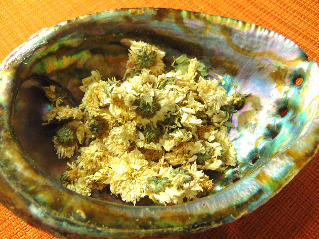 Chrysanthemum Flower