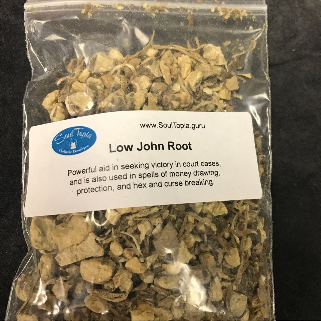 Low John Root / Galangal Root