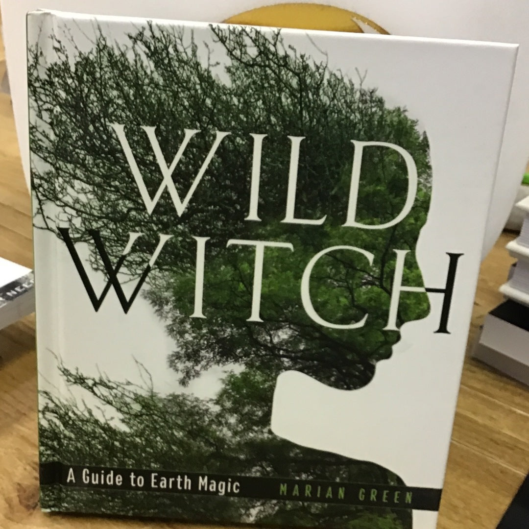 Wild Witch by Marian Green