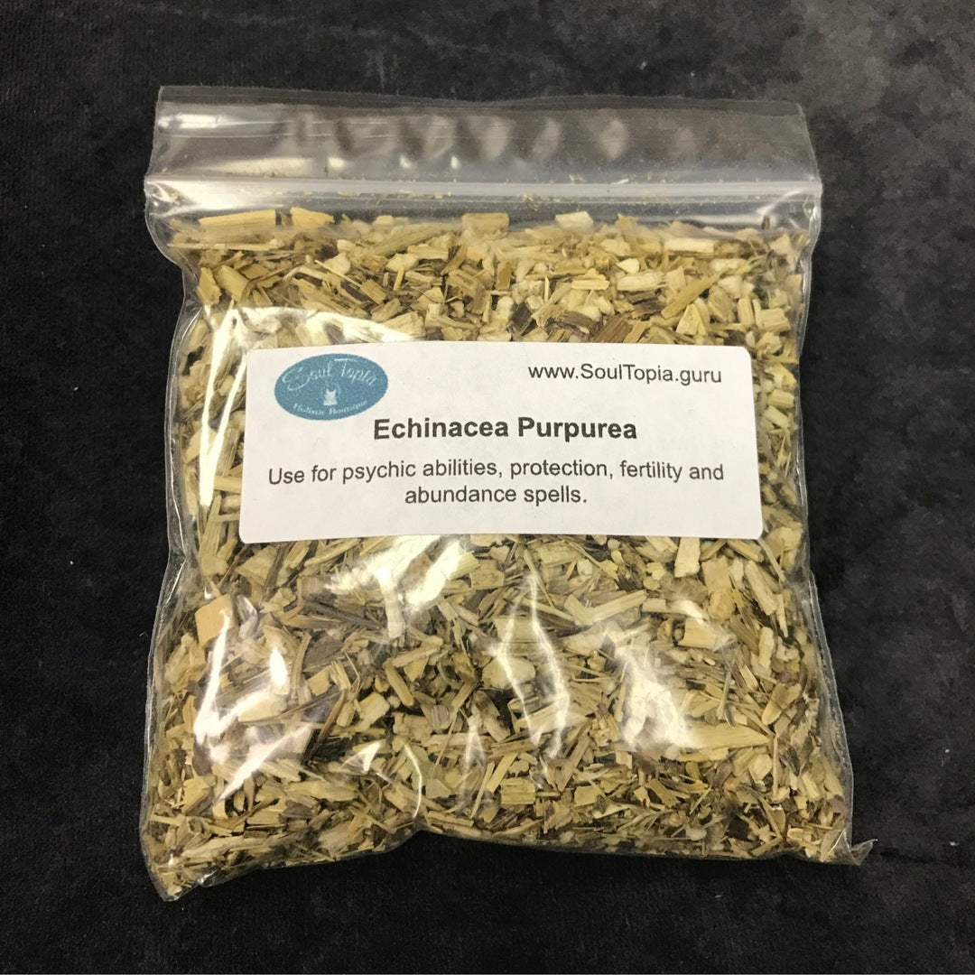 Echinacea Purpurea