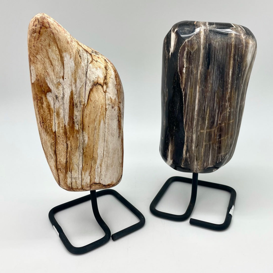 Petrified Wood with Stand