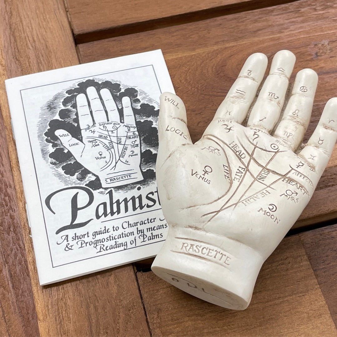 Little Palmistry Study Hand Kit With Booklet
