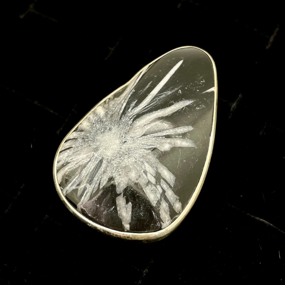 Chrysanthemum Ring (Abstract)