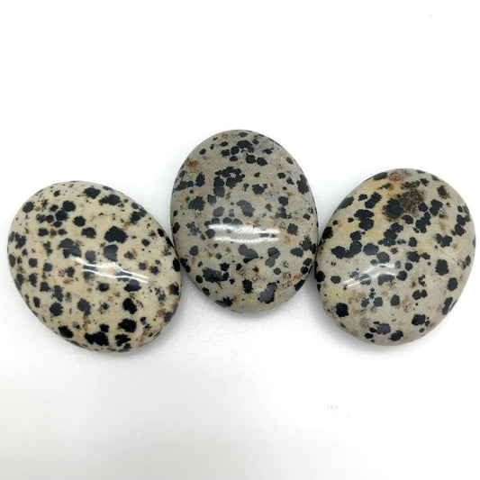 Dalmation Jasper (Gallet Stone)