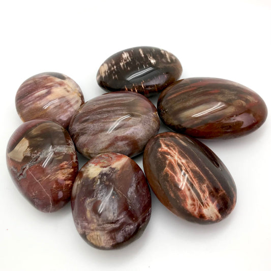 Petrified Wood (Gallet Stone)